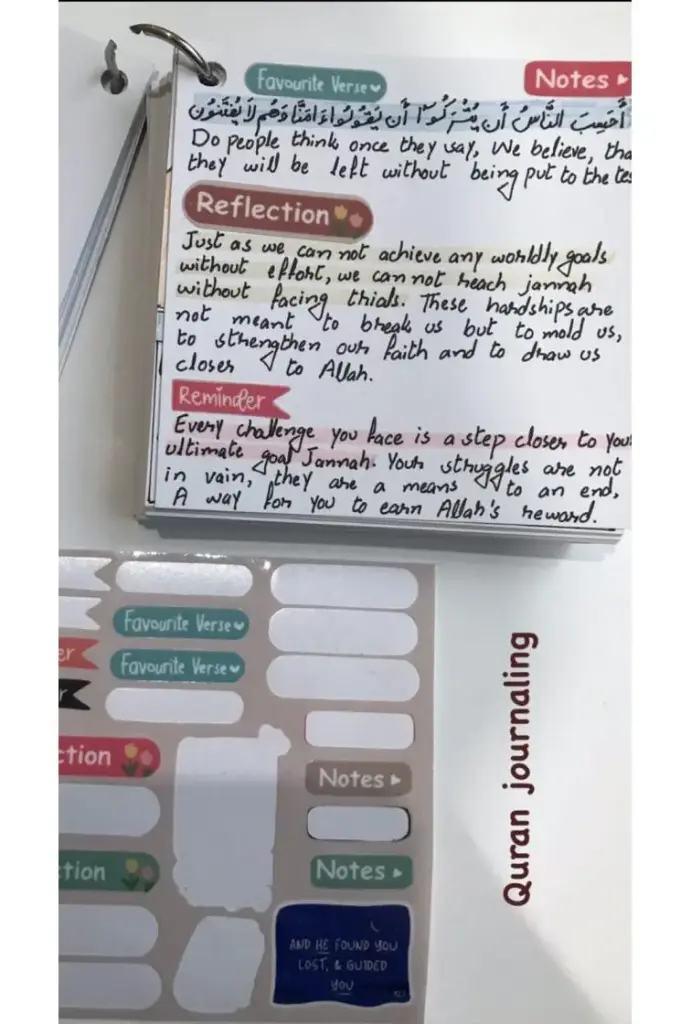 WhatsApp Image 2026-02-26 at 11.56.53 PM.webp